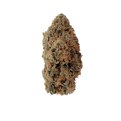 Rainbow Lava Popstars